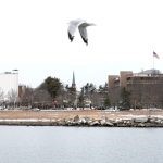 Picture of a vacant lot on Lynn's waterfront that is slated for development.