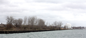 view of undeveloped waterfront land