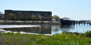 Picture of the development site on the ocean with buildings in background.